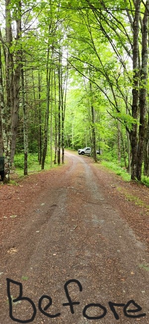 Driveway Before